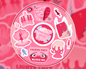 Marina and the Diamonds Electra Heart Sticker Sheet